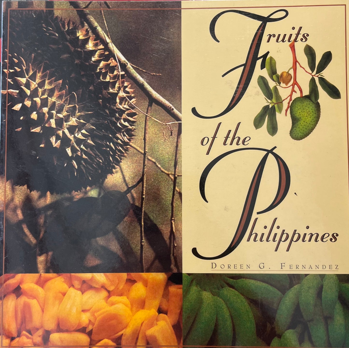 Fruits of the Philippines