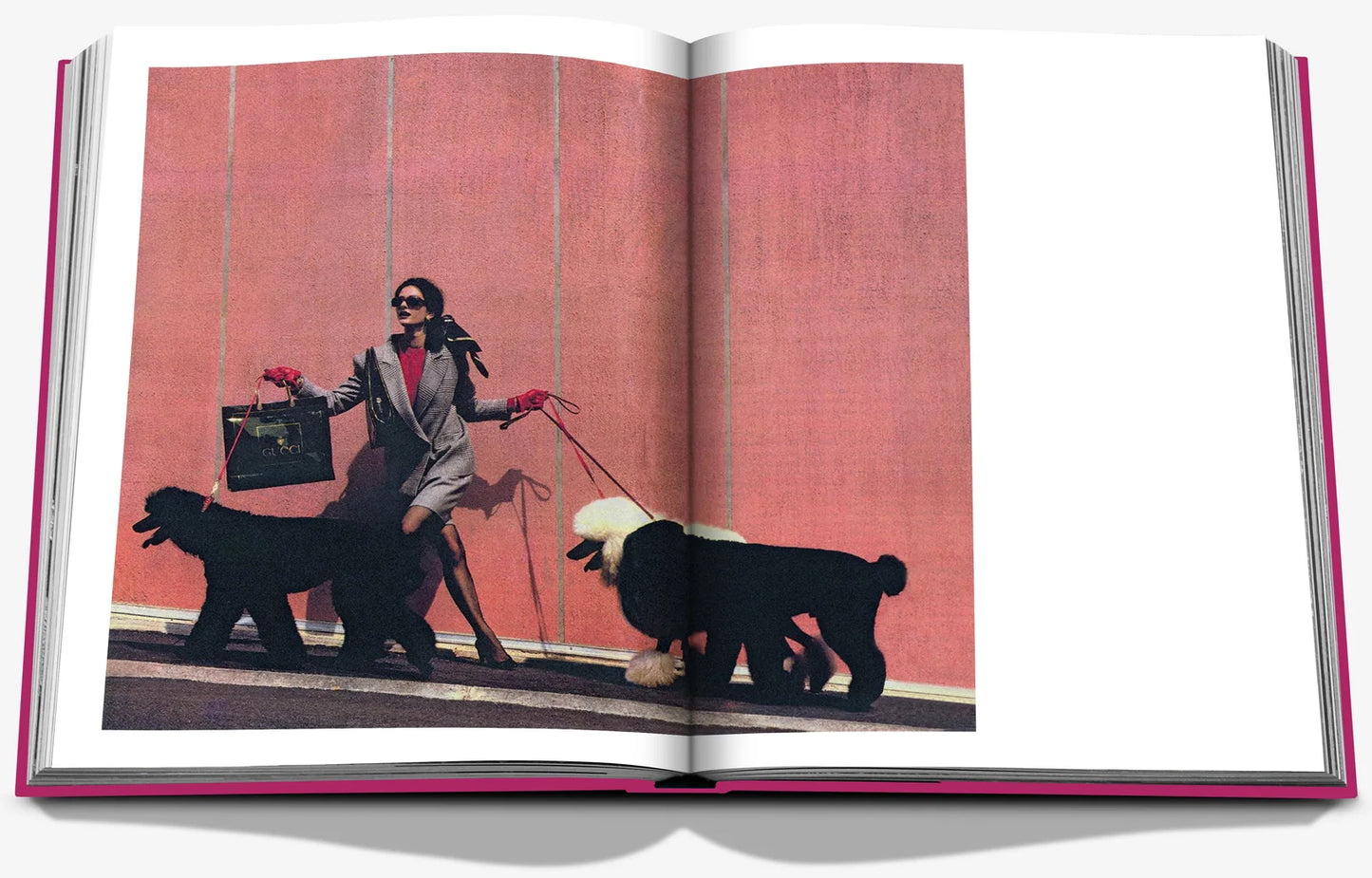 Chic Dogs
