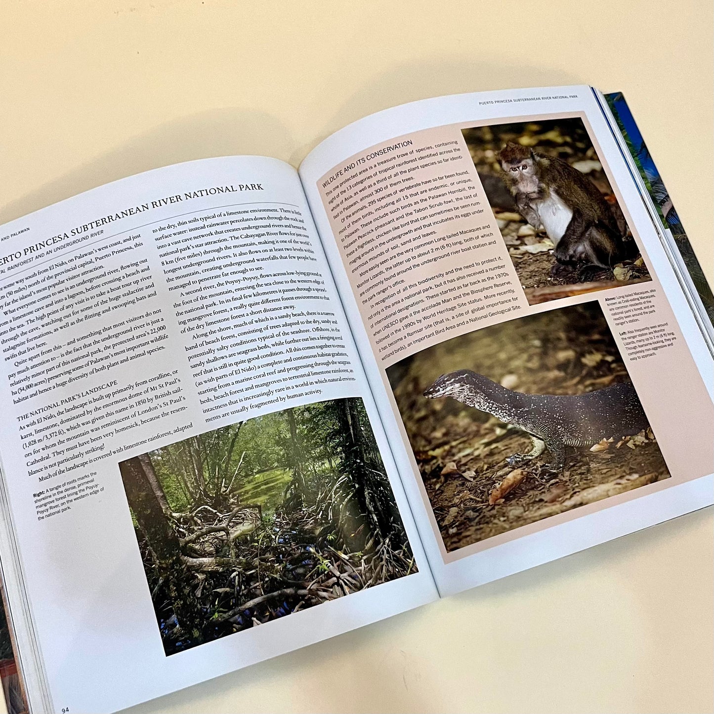 Journey Through the Philippines