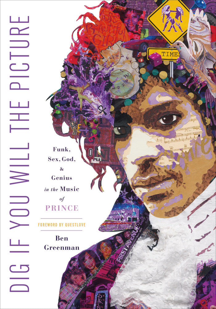 Dig If You Will the Picture: Funk, Sex, God, and Genius in the Music of Prince