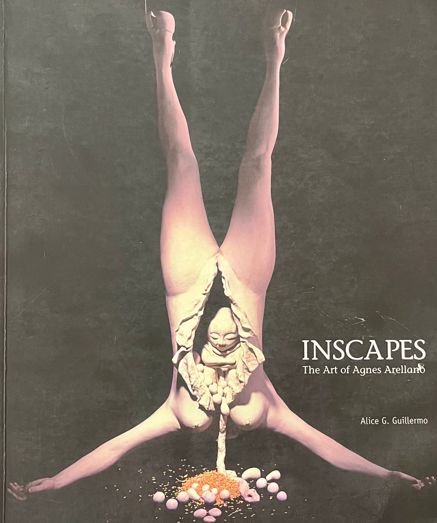 Inscapes: The Art of Agnes Arellano