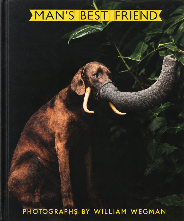 Man's Best Friend
