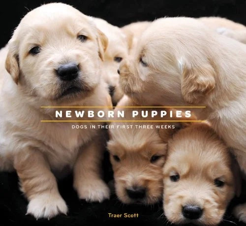 Newborn Puppies: Dogs in Their First Three Weeks