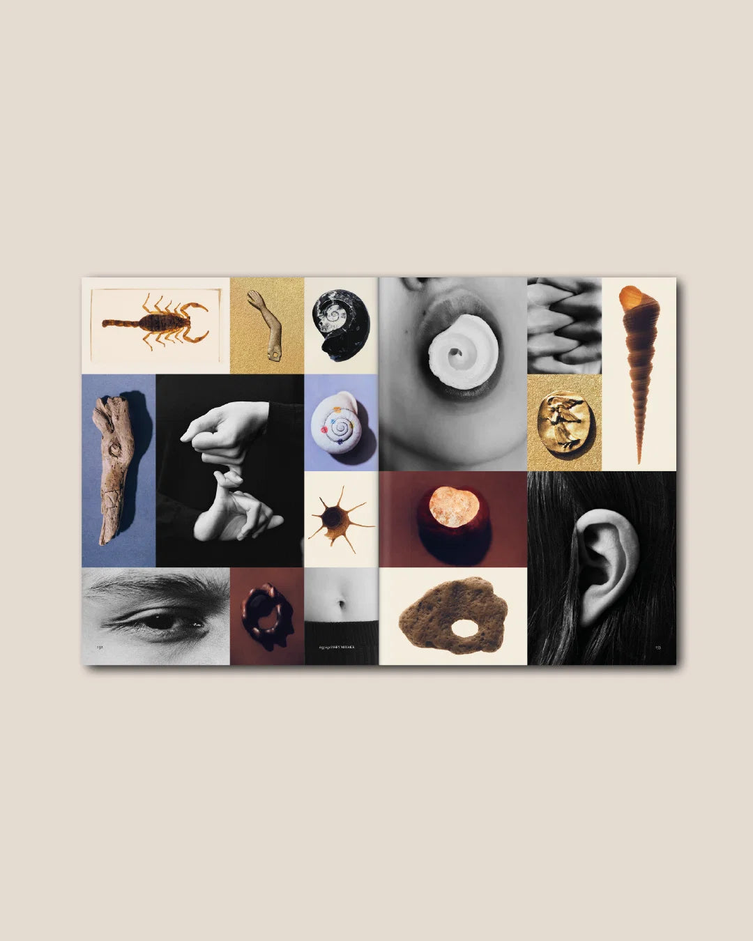 The Plant Issue 25