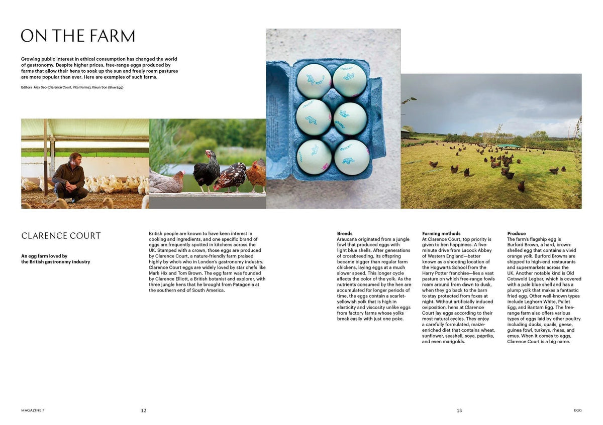 Magazine F Issue No.15 EGG