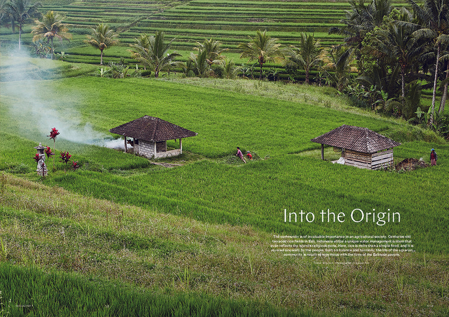 Magazine F Issue No.5 RICE